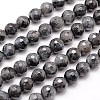 Natural Larvikite Beads Strands G-G736-01-10mm-1