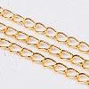 Iron Side Twisted Chain CH-S085-G-LF-1
