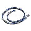Natural Lapis Lazuli Beads Strands G-C084-C01-01-3