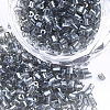 FGB Grade A Glass Seed Beads SEED-S022-03S-1