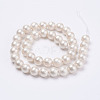 Wrinkle Textured Shell Pearl Beads Strands BSHE-F013-02-10mm-2