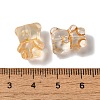 Transparent Lampwork Beads LAMP-P065-06A-06-4