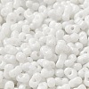 Baking Paint Glass Seed Beads SEED-K009-01A-25-3