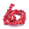 Natural Magnesite Beads Strands TURQ-P001-02A-13-2