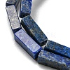 Natural Lapis Lazuli Beads Strands G-C084-C01-01-4