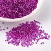 MIYUKI Delica Beads X-SEED-J020-DB1340-1