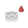 Silicone Molds LS-SIMO-D301-01A-1