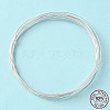 Dead Soft 925 Sterling Silver Wire STER-NH003-A-1