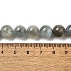 Natural Aquamarine Beads Strands G-I349-A01-01F-4