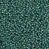 TOHO 11/0 Round Beads SEED-TR11-1833-2