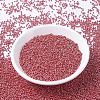 MIYUKI Round Rocailles Beads SEED-G007-RR0425-2