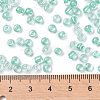 6/0 Glass Seed Beads X-SEED-A015-4mm-2219-4