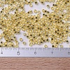 MIYUKI Delica Beads SEED-J020-DB0042-4
