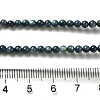 Natural Freshwater Shell Beads Strands X-SHEL-H003-03C-4