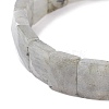 Natural Labradorite Stretch Bracelets BJEW-F406-B19-3