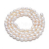 Natural Cultured Freshwater Pearl Beads Strands PEAR-N012-03B-2
