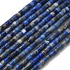 Natural Lapis Lazuli Beads Strands G-P608-A06-01-2