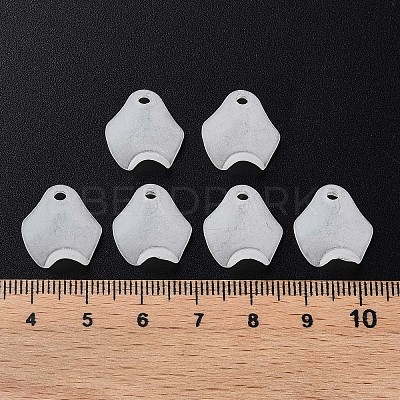 Transparent Acrylic Beads X-MACR-S373-106-D07-1