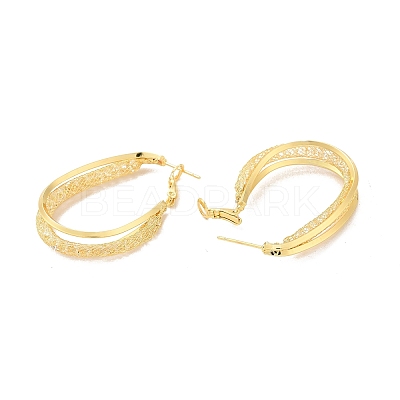 Clear Cubic Zirconia Mesh Round Hoop Earrings EJEW-F308-10G-1