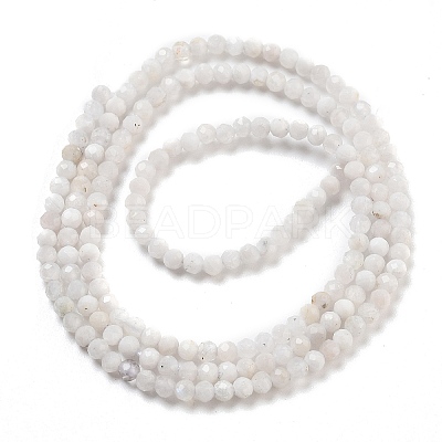 Natural Rainbow Moonstone Beads Strands G-G161-A01-01-1