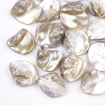 Freshwater Shell Beads SSHEL-T005-11-1