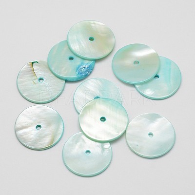 Dyed Natural Shell Beads SHEL-P004-06-1
