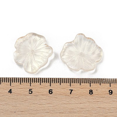 Transparent Glass Beads DGLA-E004-02K-1