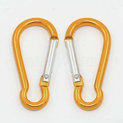 Aluminum Carabiners LS-EA026-09-1