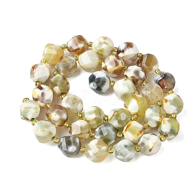 Natural Fire Crackle Agate Beads Strands G-U023-A16-02-1
