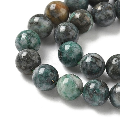 Natural Dioptase Beads Strands G-D302-02-8mm-1