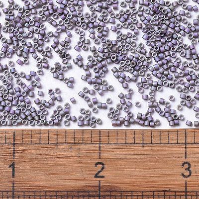MIYUKI Delica Beads X-SEED-J020-DB1065-1