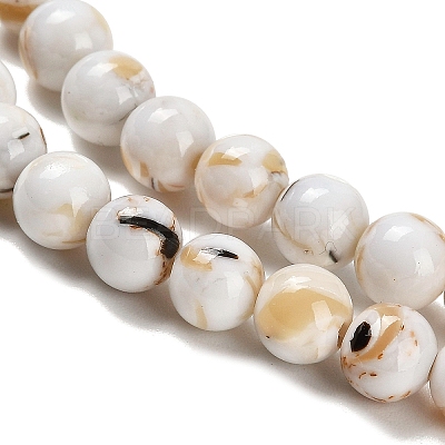 Assembled Synthetic Stone and Trochus Shell Beads Strands G-B128-08B-01-1