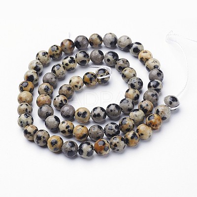 Natural Dalmatian Jasper Bead Strands G-R345-6mm-51-1