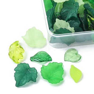 76G 8 Style Transparent Acrylic Pendants OACR-FS0001-15-1