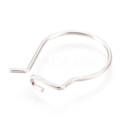 304 Stainless Steel Hoop Earrings Findings STAS-H436-02S-1