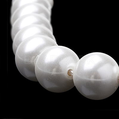 Shell Pearl Beads Strands BSHE-S301-8mm-04-1