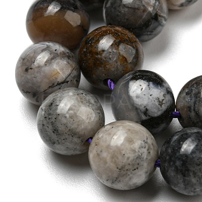 Natural Dendritic Jasper Beads Strands G-R494-A23-03-1