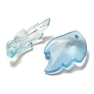 Transparent Frosted Acrylic Beads OACR-H039-06-1