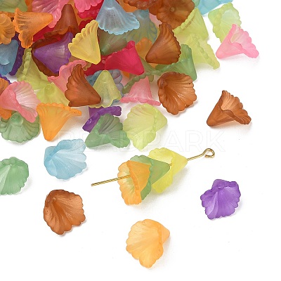 Transparent Acrylic Beads PL622M-1