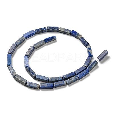 Natural Lapis Lazuli Beads Strands G-C084-C01-01-1