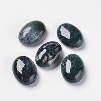 Natural Indian Agate G-F296-09-10x14mm-1