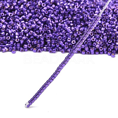 MIYUKI Delica Beads LS-X-SEED-J020-DB2510-1
