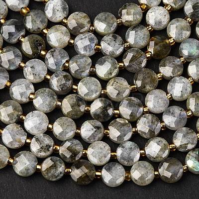 Natural Labradorite Beads Strands G-K389-B66-01-1