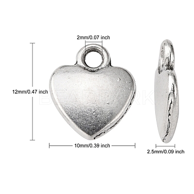 Tibetan Style Alloy Charms LF1170Y-1