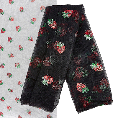Mesh Embroidered Lace Trim OCOR-WH0073-34B-1