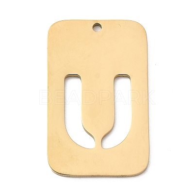 304 Stainless Steel Pendants STAS-D200-01U-G-1