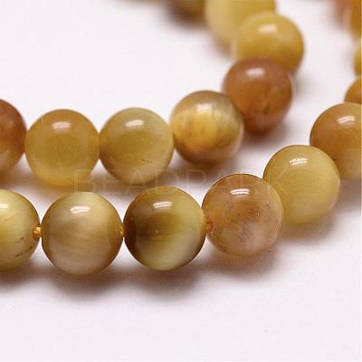 Natural Tiger Eye Bead Strands G-D840-54-8mm-03-1