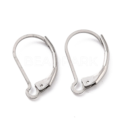 Non-Tarnish 304 Stainless Steel Leverback Earring Findings X-STAS-K233-04P-1