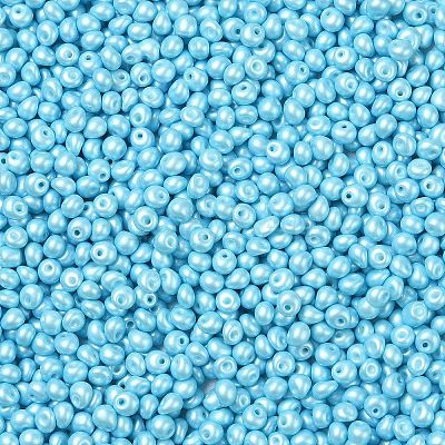 6/0 Glass Seed Beads X1-SEED-L011-08A-13-1