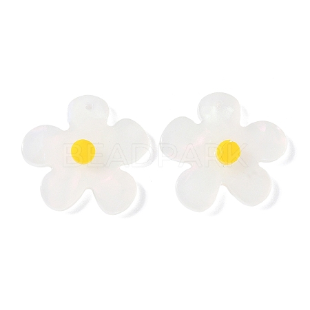 Opaque Acrylic Pendants FIND-K024-02B-1
